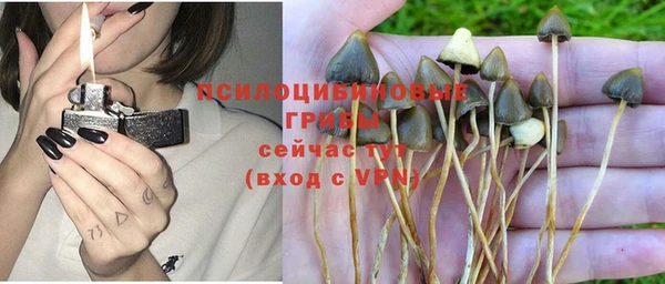 крисы Приозерск