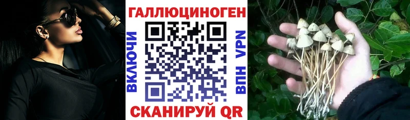 Псилоцибиновые грибы Psilocybine cubensis  дарнет шоп  Апшеронск 